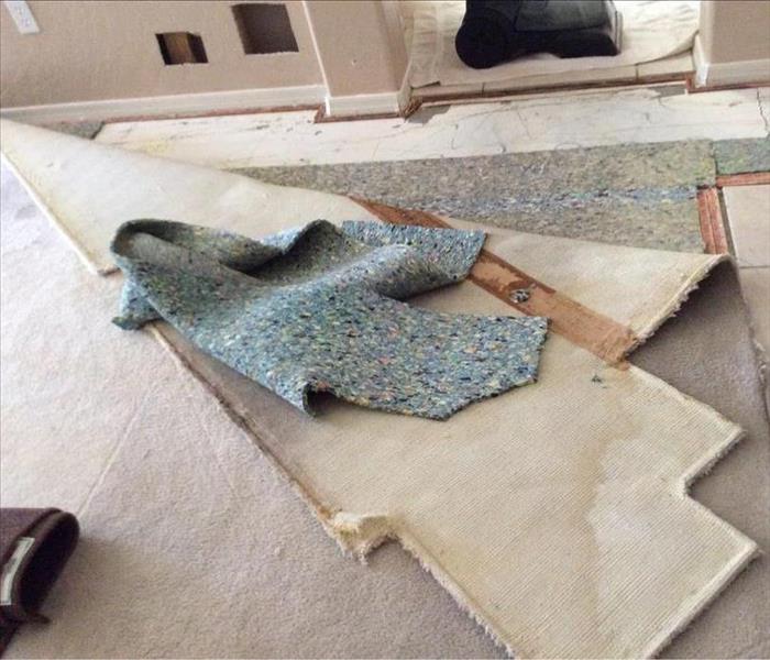 Water Leak Destroyed Family Room Carpet